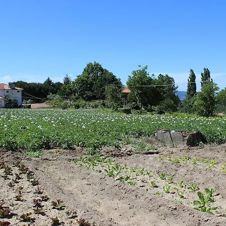 Hotel Rural Casa De S. Pedro Castelo de Paiva