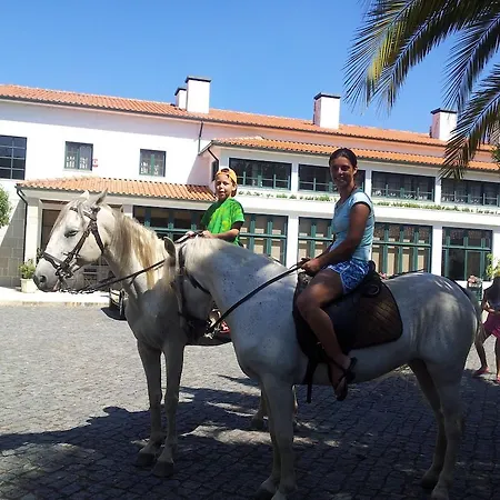 Hotel Rural Casa De S. Pedro Castelo de Paiva