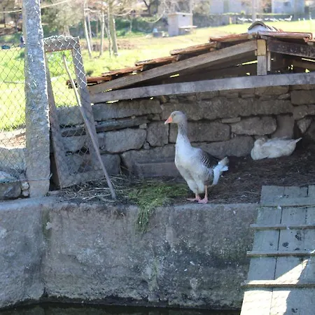 Rural Casa De S. Pedro Hotel