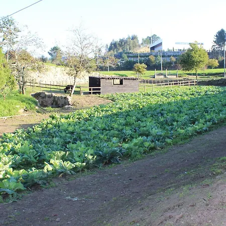 Rural Casa De S. Pedro Hotel Castelo de Paiva