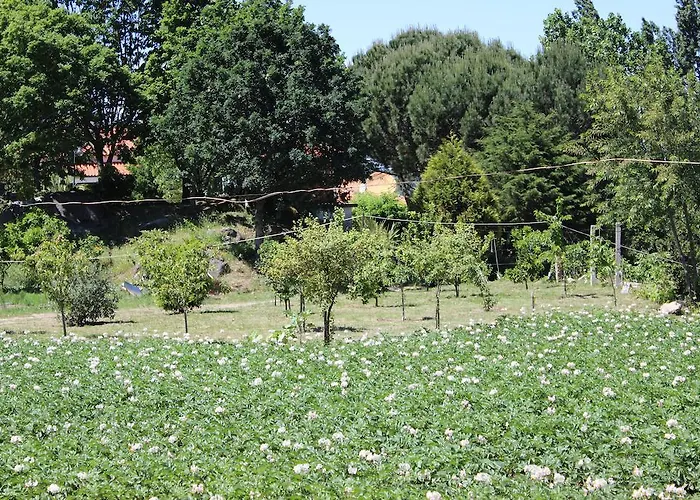 Rural Casa De S. Pedro Hotel 3*