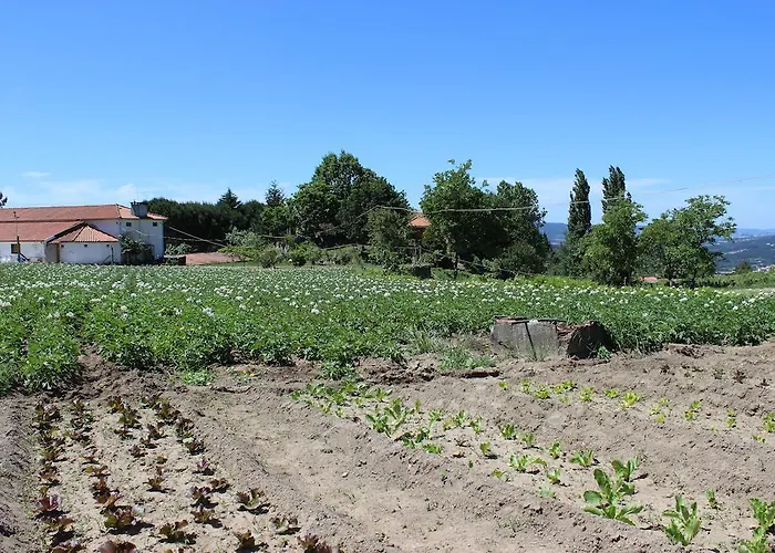 Hotel Rural Casa De S. Pedro Castelo de Paiva