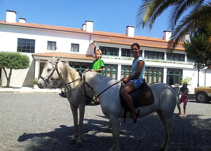 Hotel Rural Casa De S. Pedro Castelo de Paiva