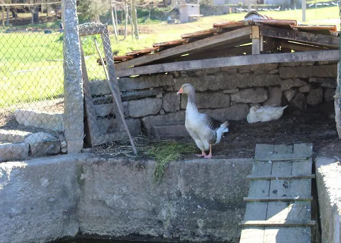 Rural Casa De S. Pedro Hotel
