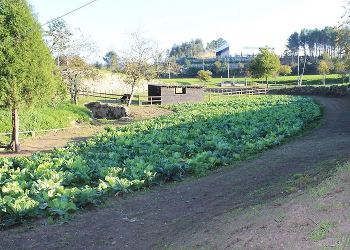 Rural Casa De S. Pedro Hotel Castelo de Paiva
