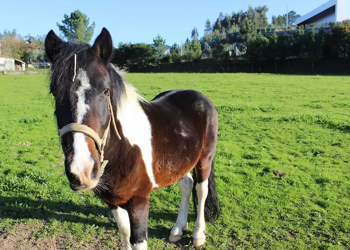 Hotel Rural Casa De S. Pedro Castelo de Paiva